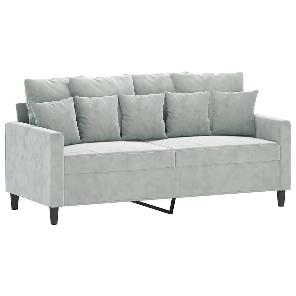 Light Gray Velvet 2-Seater Loveseat Sofa S67644