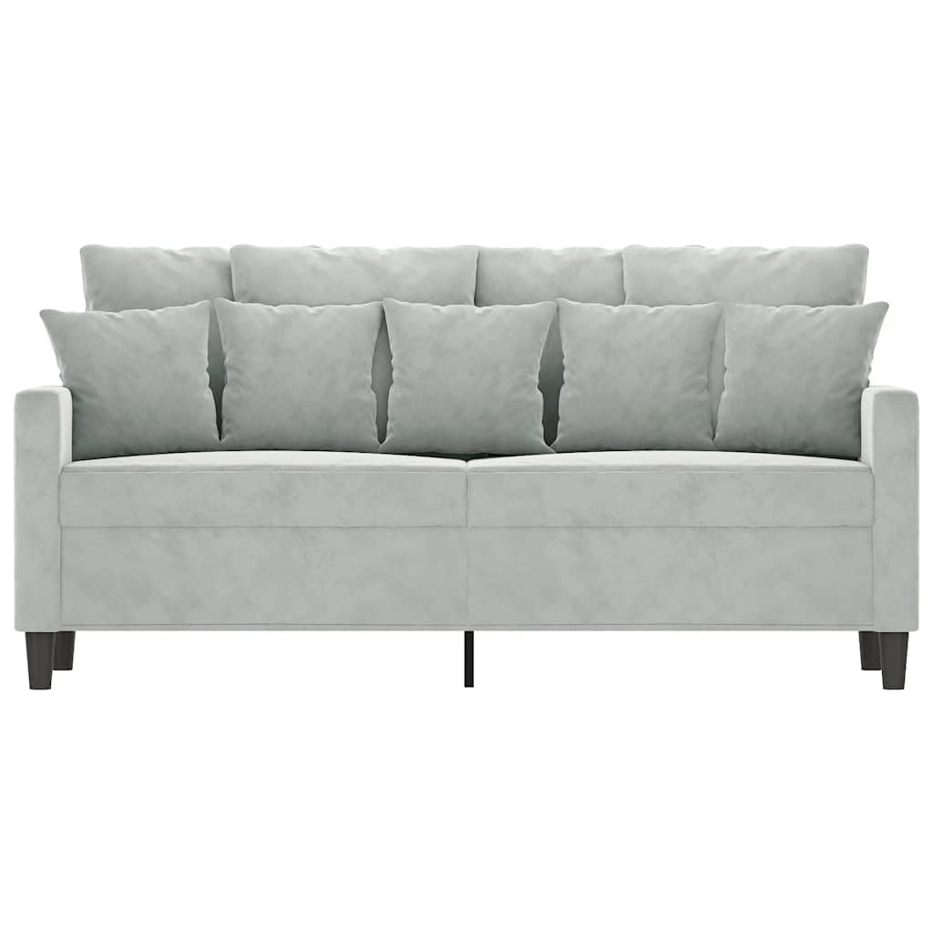 Light Gray Velvet 2-Seater Loveseat Sofa S67644