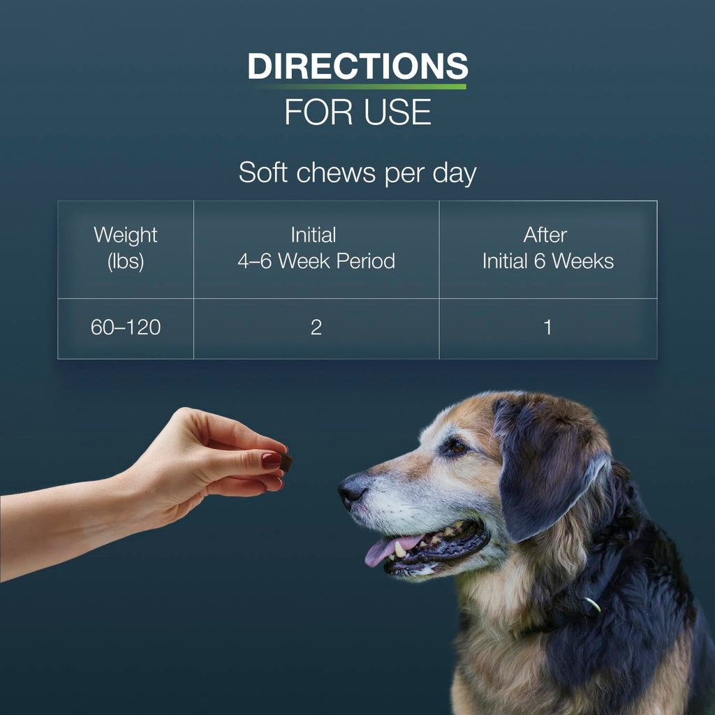 Large Dogs Soft Chews 84ct Joint Supplement D828