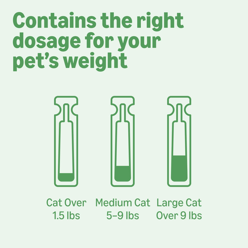 Flea and Tick Topical Treatment for Cats 6 Count L65662
