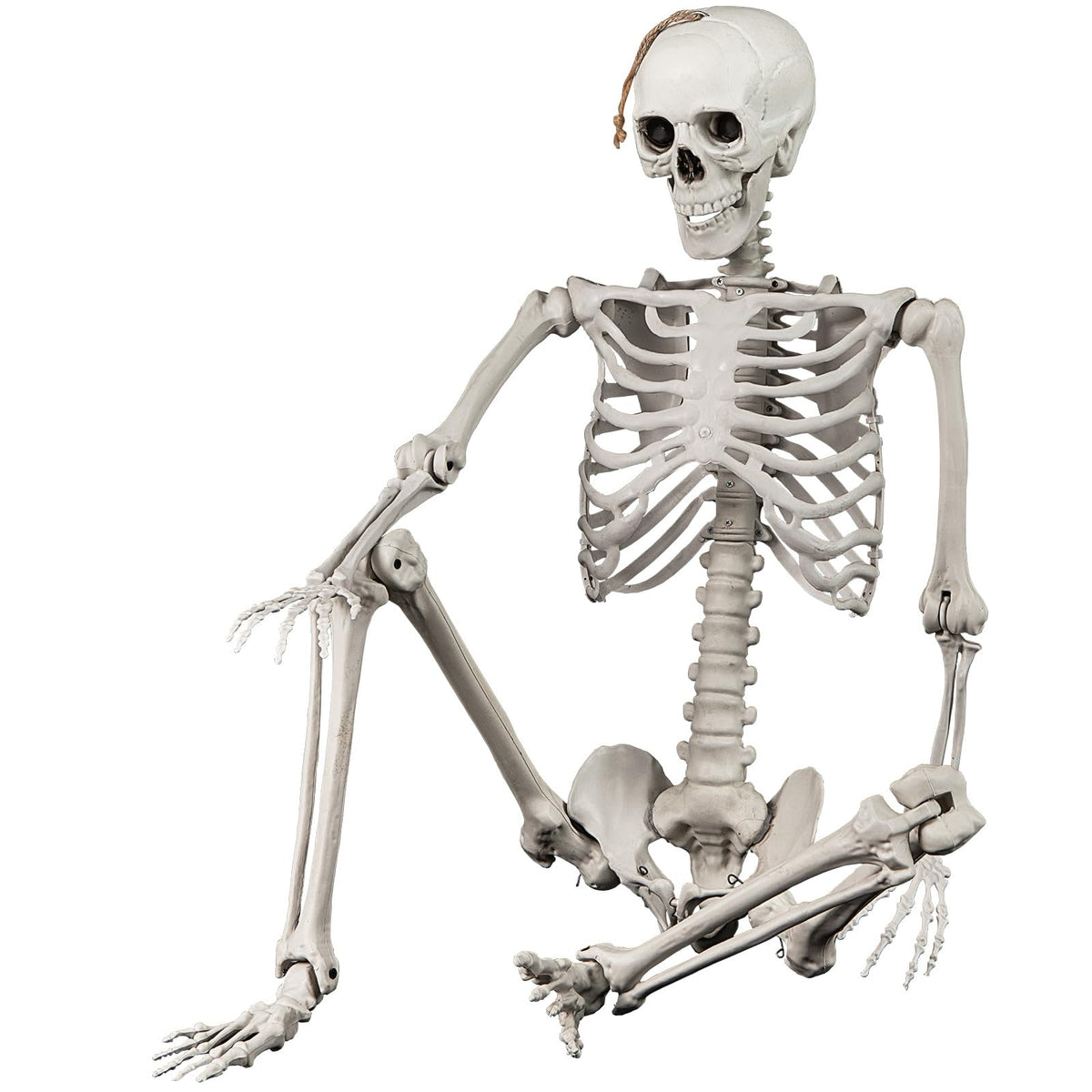 5.4 FT Life Size Posable Skeleton Decoration H8833