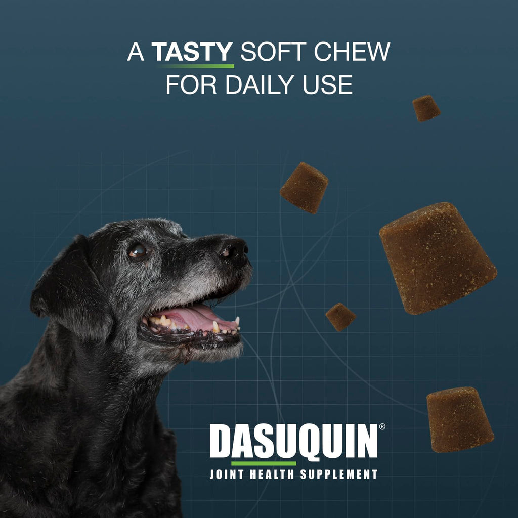 Large Dogs Soft Chews 84ct Joint Supplement D828