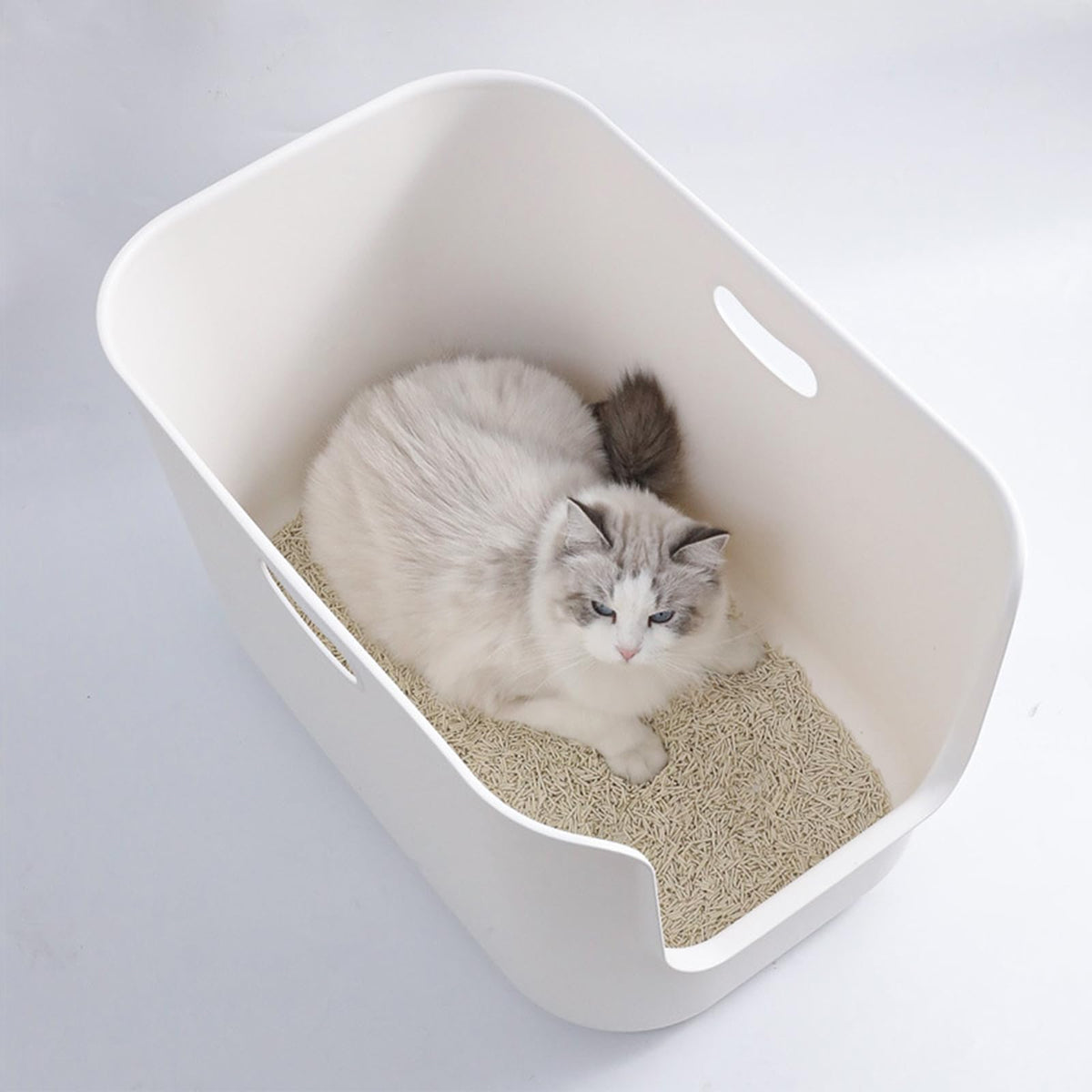 Extra Large High Sides Cat Litter Box F71155