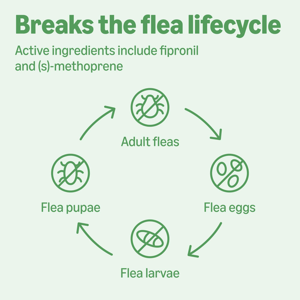 Flea and Tick Topical Treatment for Cats 6 Count L65662