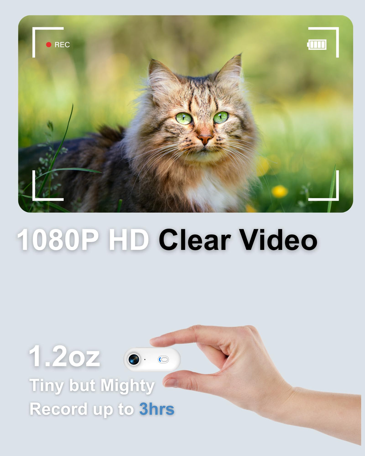 Cat Camera Collar with APP, 1080P HD Pet POV Video Recording Z68178