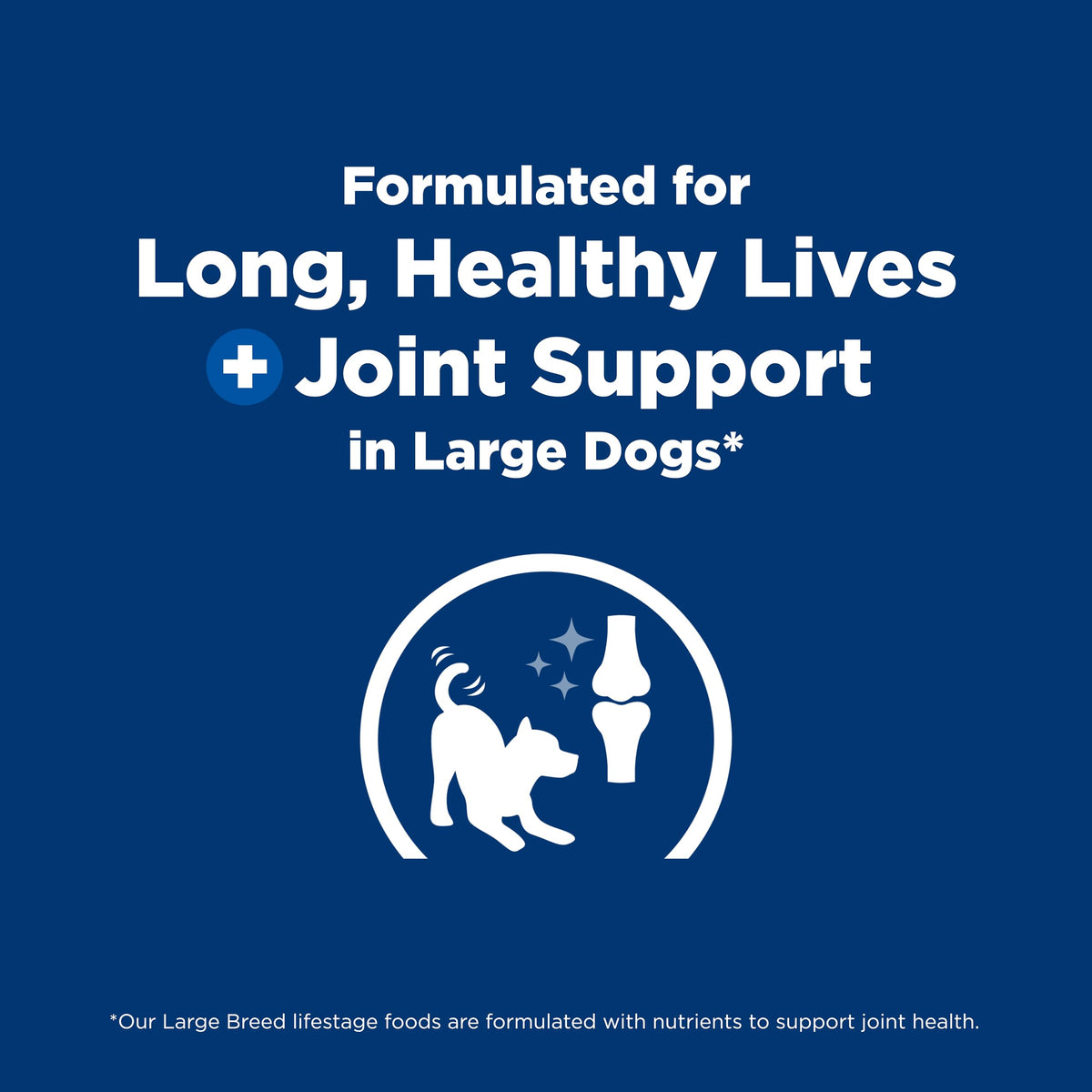 Large Breed Dry Dog Food G4242