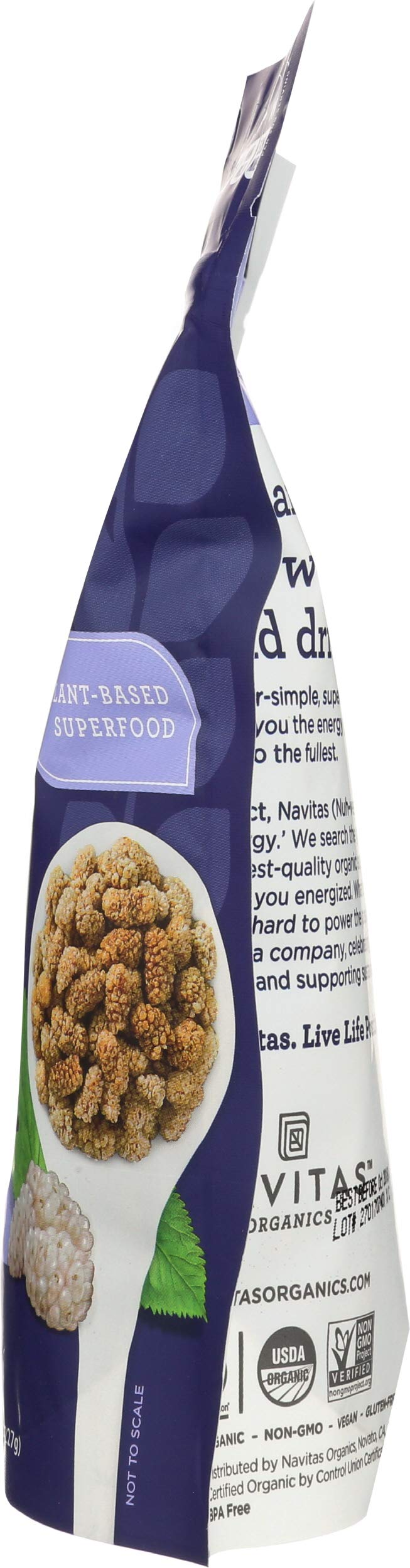 Mulberries 8 oz 12-Pack T862373