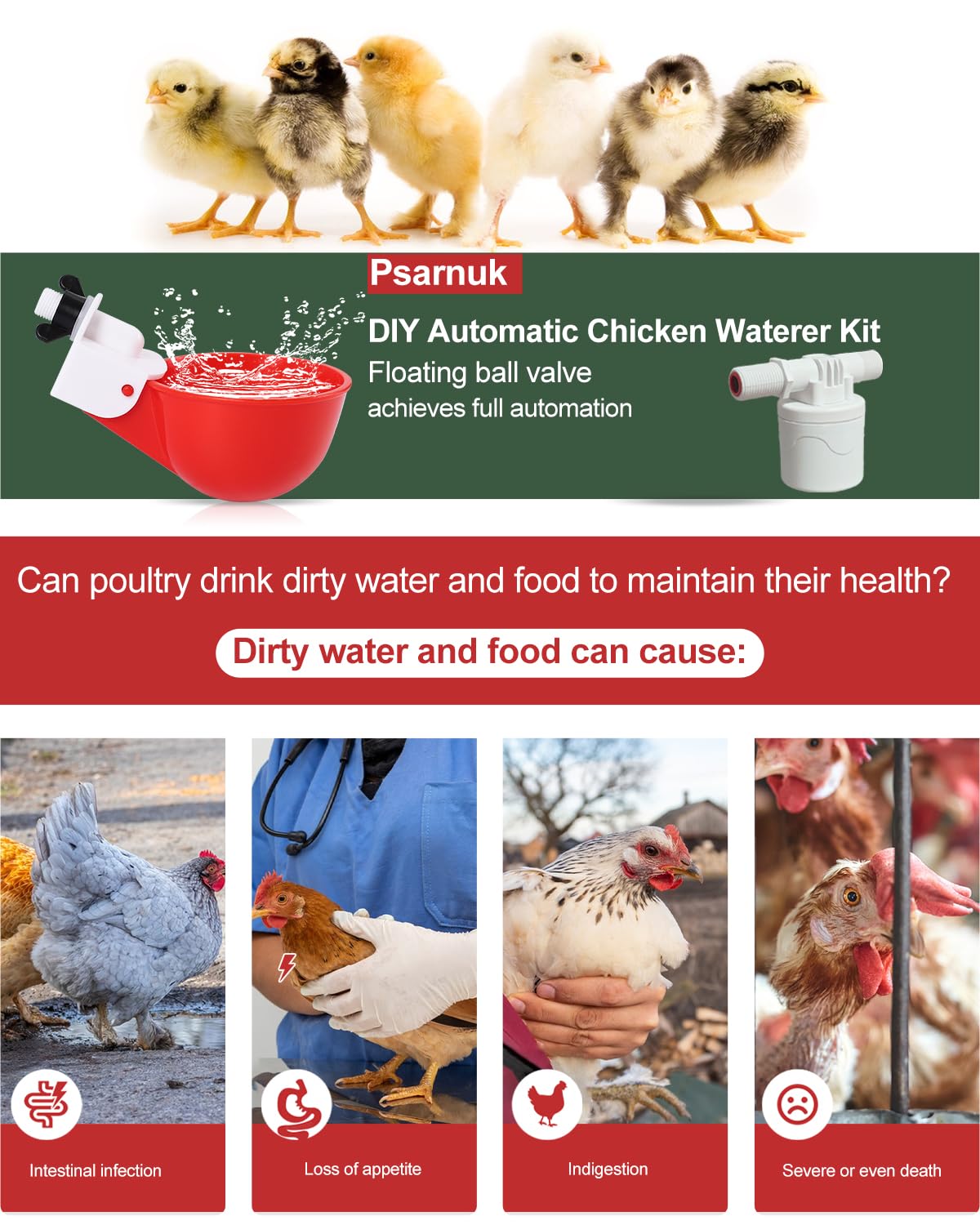 Automatic Chicken Waterer Kit with 4 Cups H7963