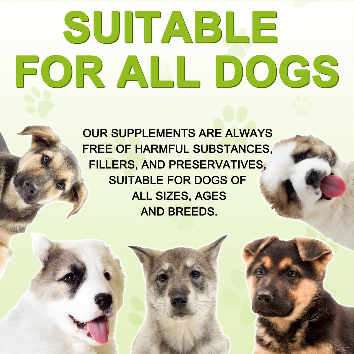 180 Chewable Milk Thistle Tablets for Dogs K964202