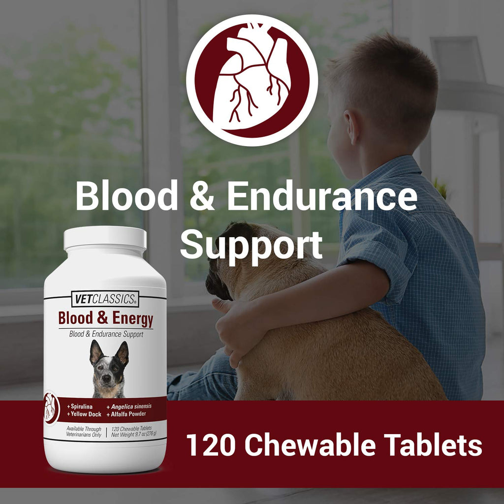 Blood & Energy Support Supplement for Dogs 120 Tablets Q503