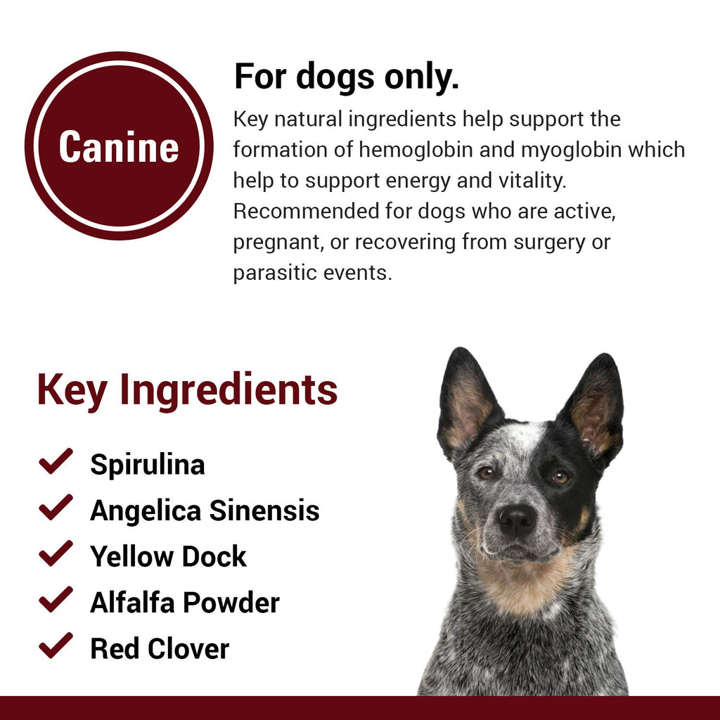 Blood & Energy Support Supplement for Dogs 120 Tablets Q503