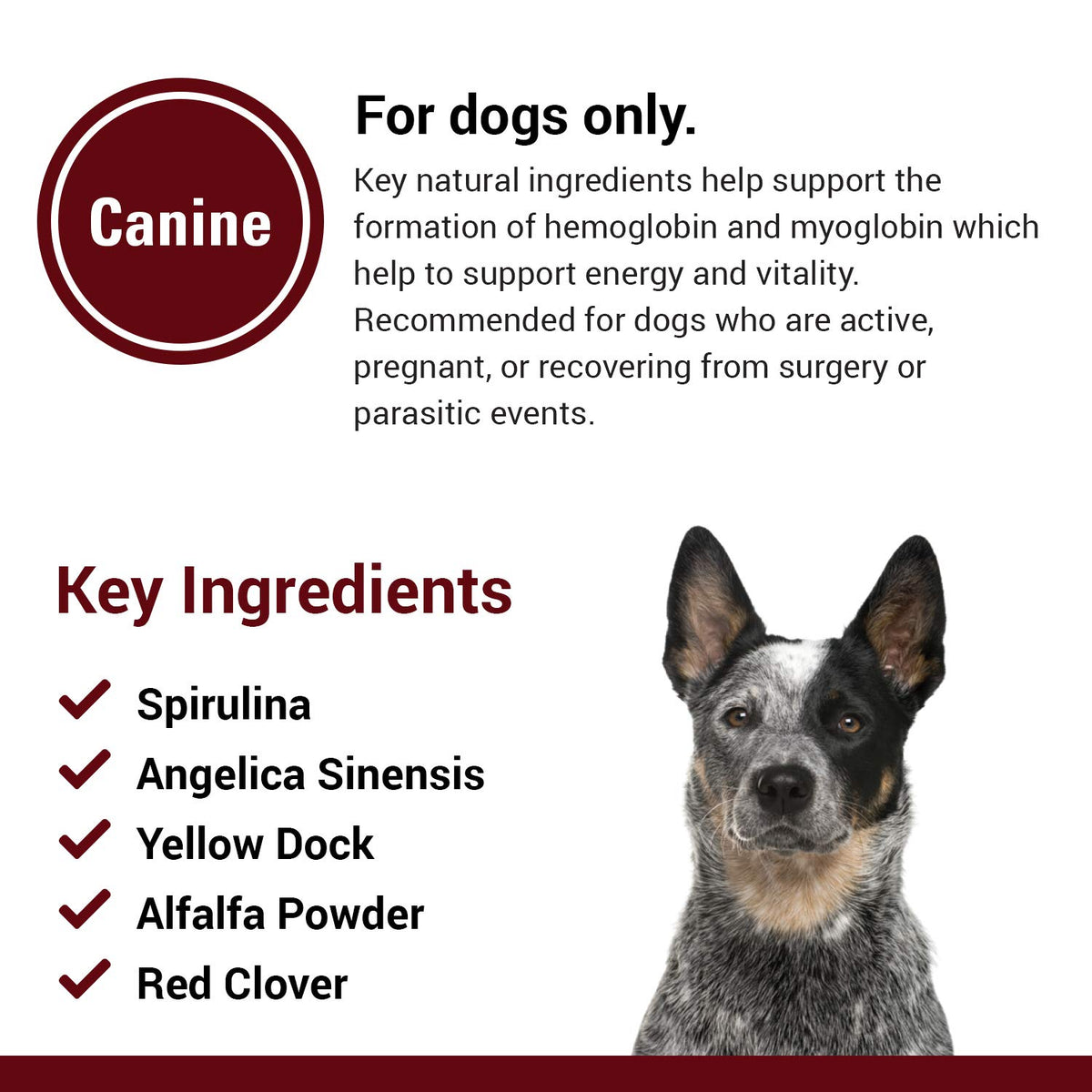 Blood & Energy Support Supplement for Dogs 120 Tablets Q503