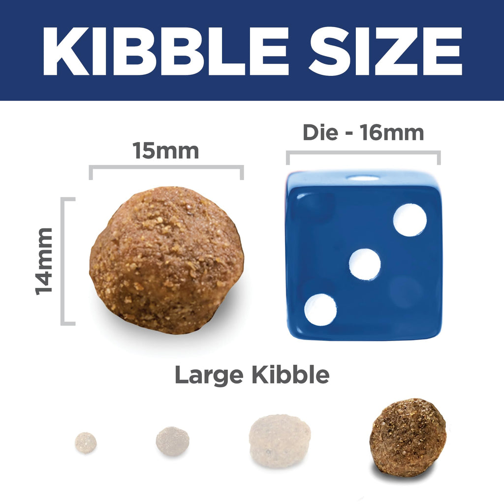 Large Breed Dry Dog Food G4242