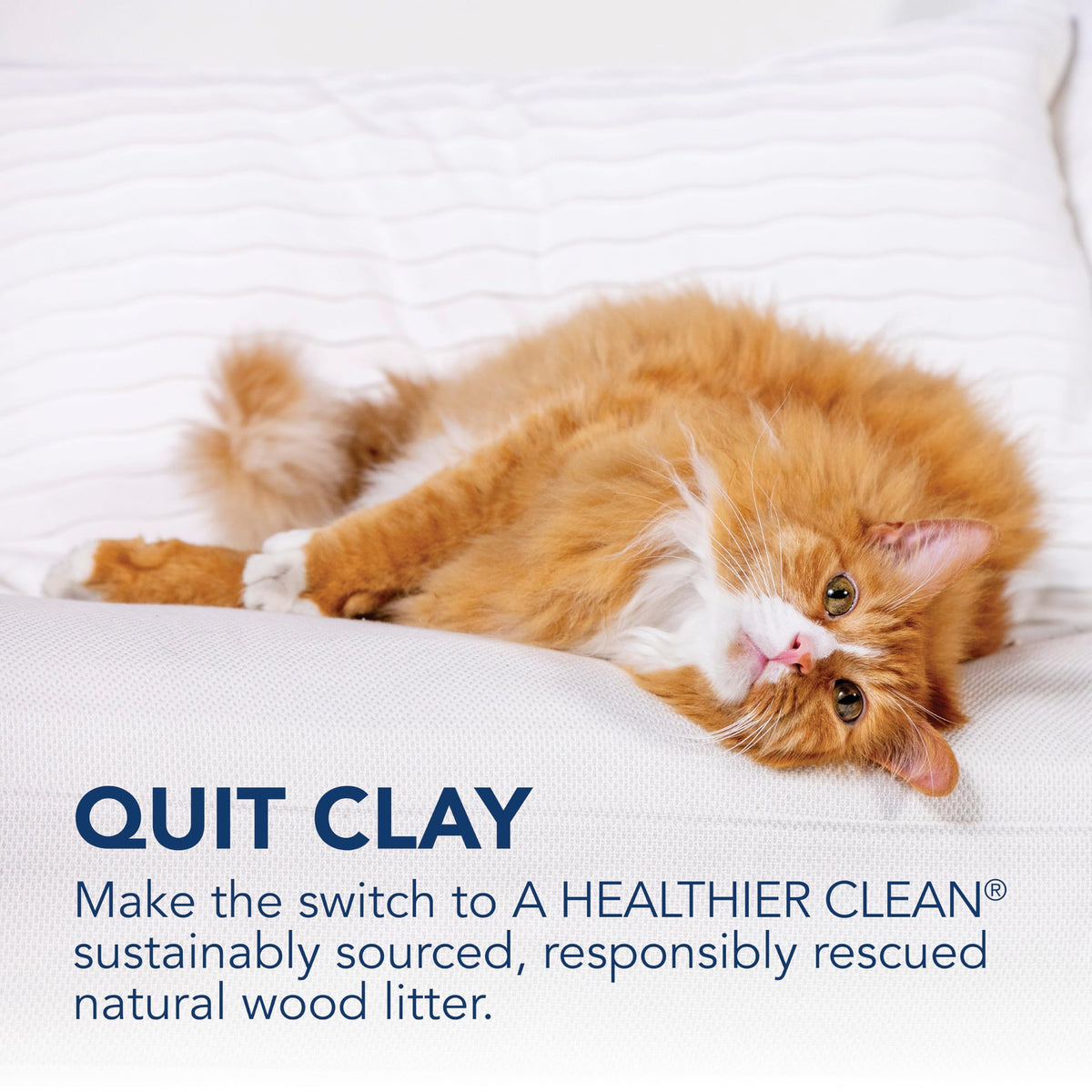 Low Tracking Natural Wood Clumping Cat Litter 21.5 Lbs N40829