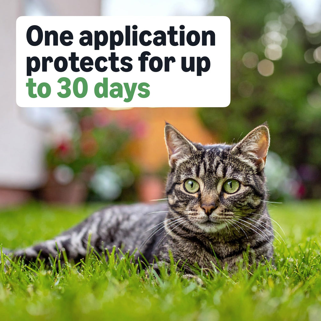 Flea and Tick Topical Treatment for Cats 6 Count L65662
