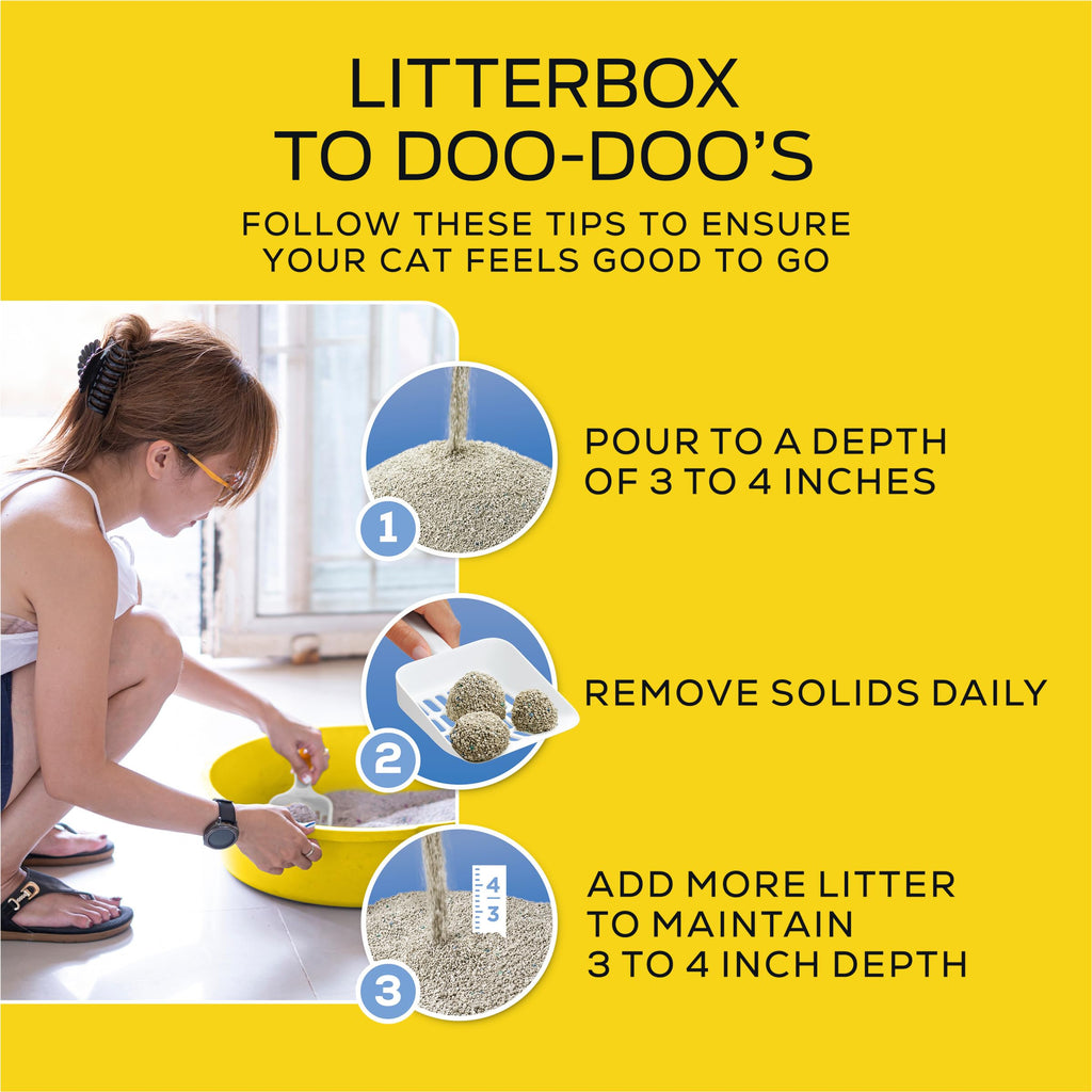 Low Dust Clumping Unscented Cat Litter 17 lb F2386