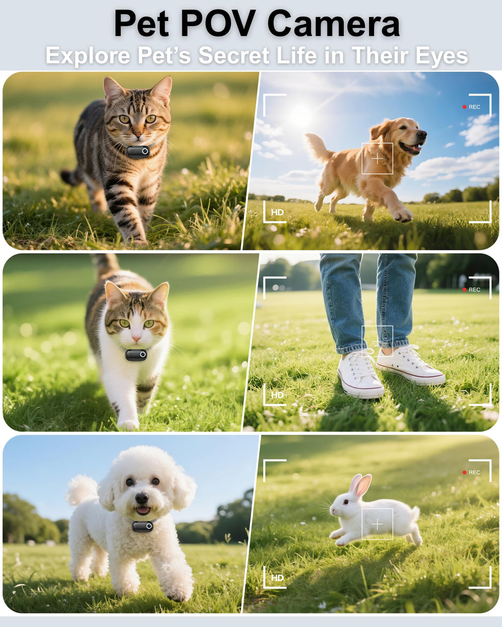 Cat Camera Collar with APP, 1080P HD Pet POV Video Recording Z68178