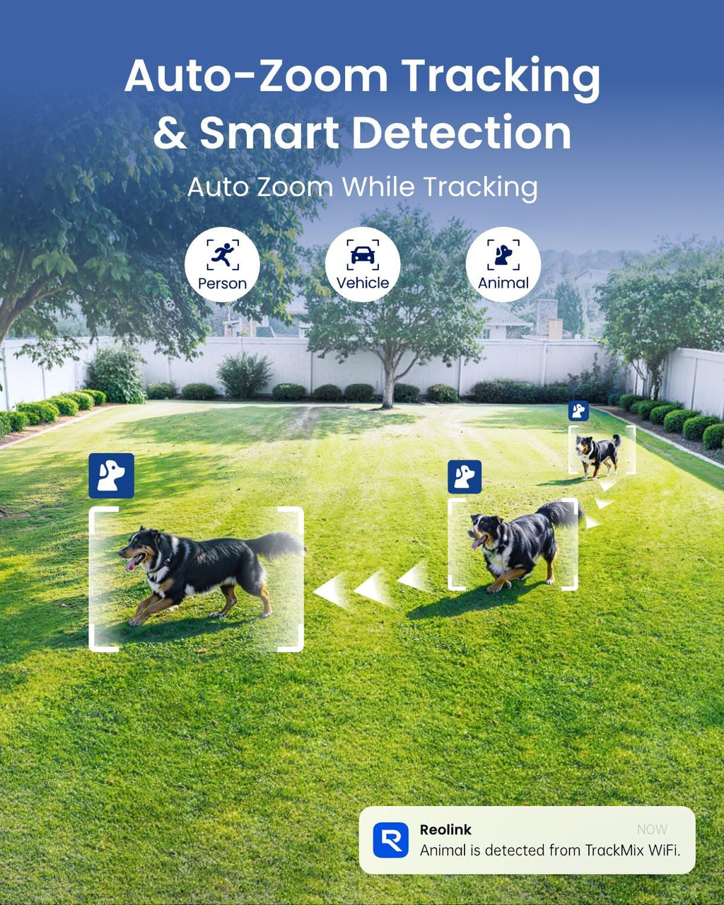 4K 8MP Dual-Lens PTZ Outdoor Security Camera Q4044