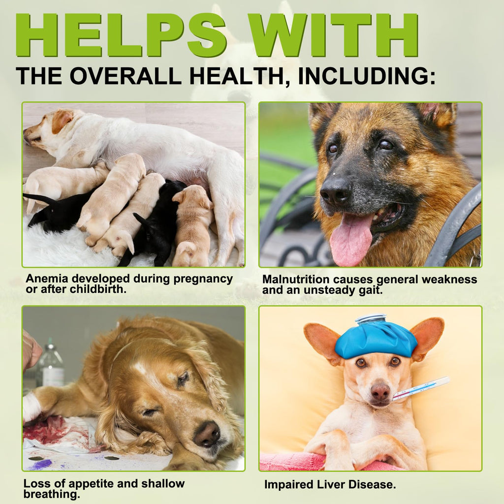 180 Chewable Milk Thistle Tablets for Dogs K964202