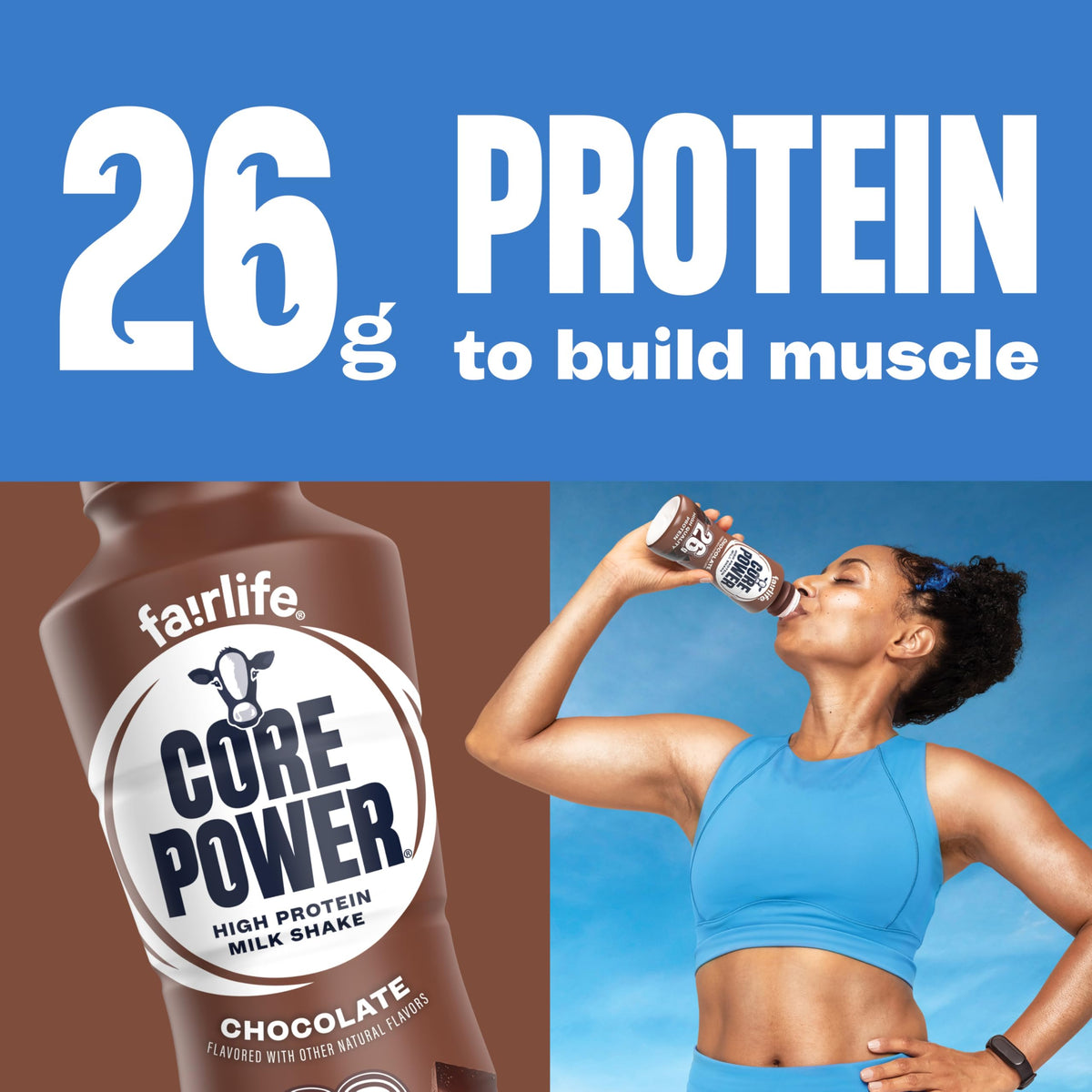 26g Protein Chocolate Milk Shakes 14 Fl Oz (Pack of 12) K4853