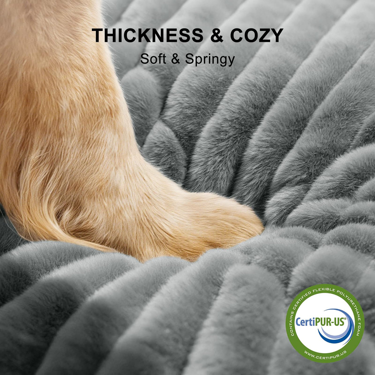 Washable Dog Bed O483975
