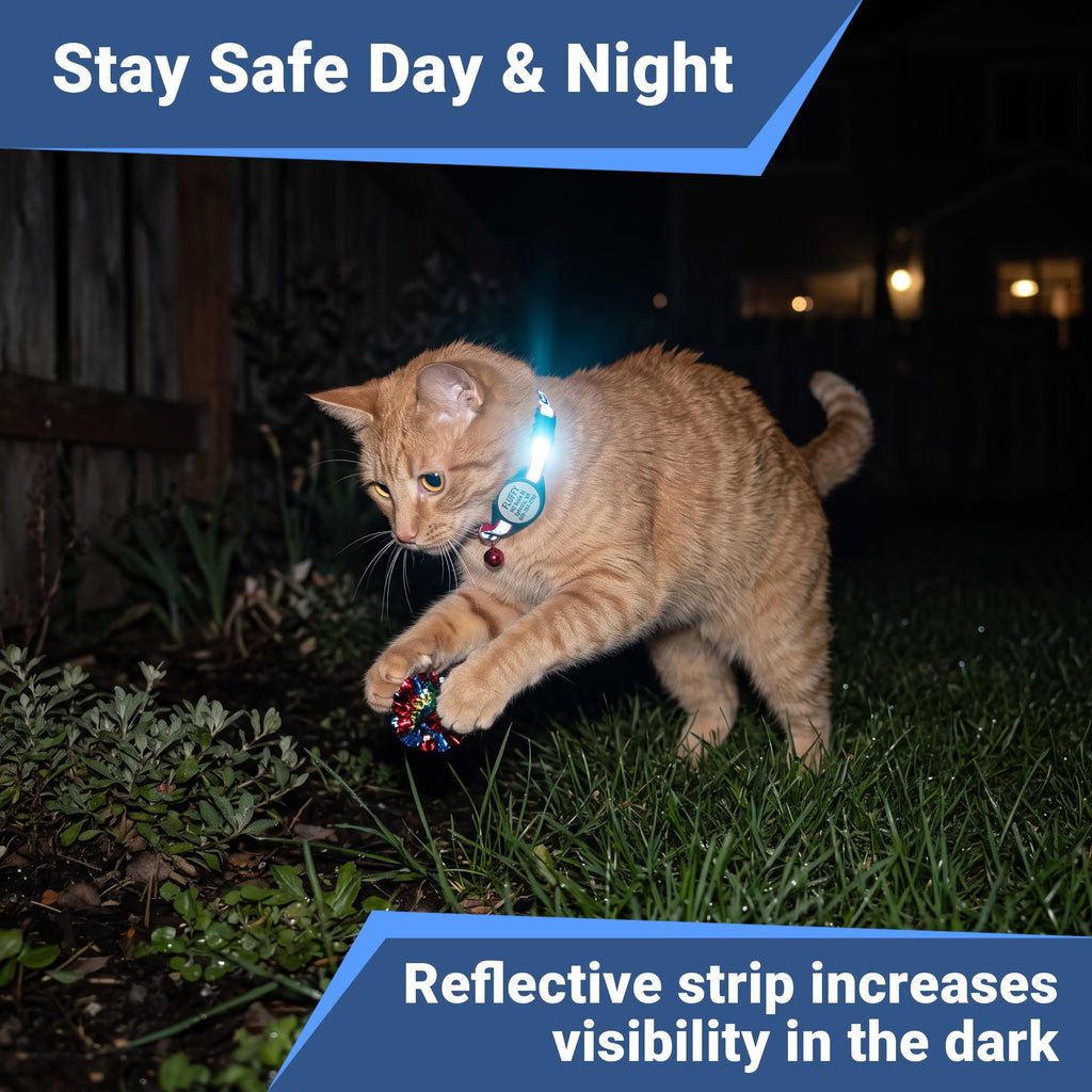 Reflective Breakaway Cat Collar R2449