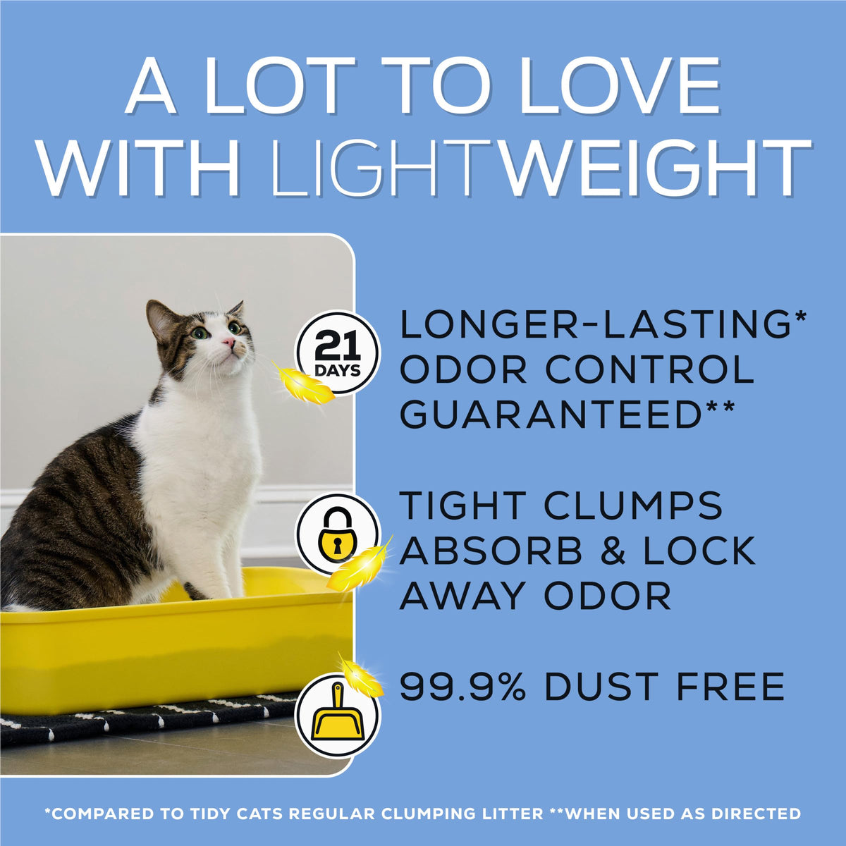 Low Dust Clumping Unscented Cat Litter 17 lb F2386