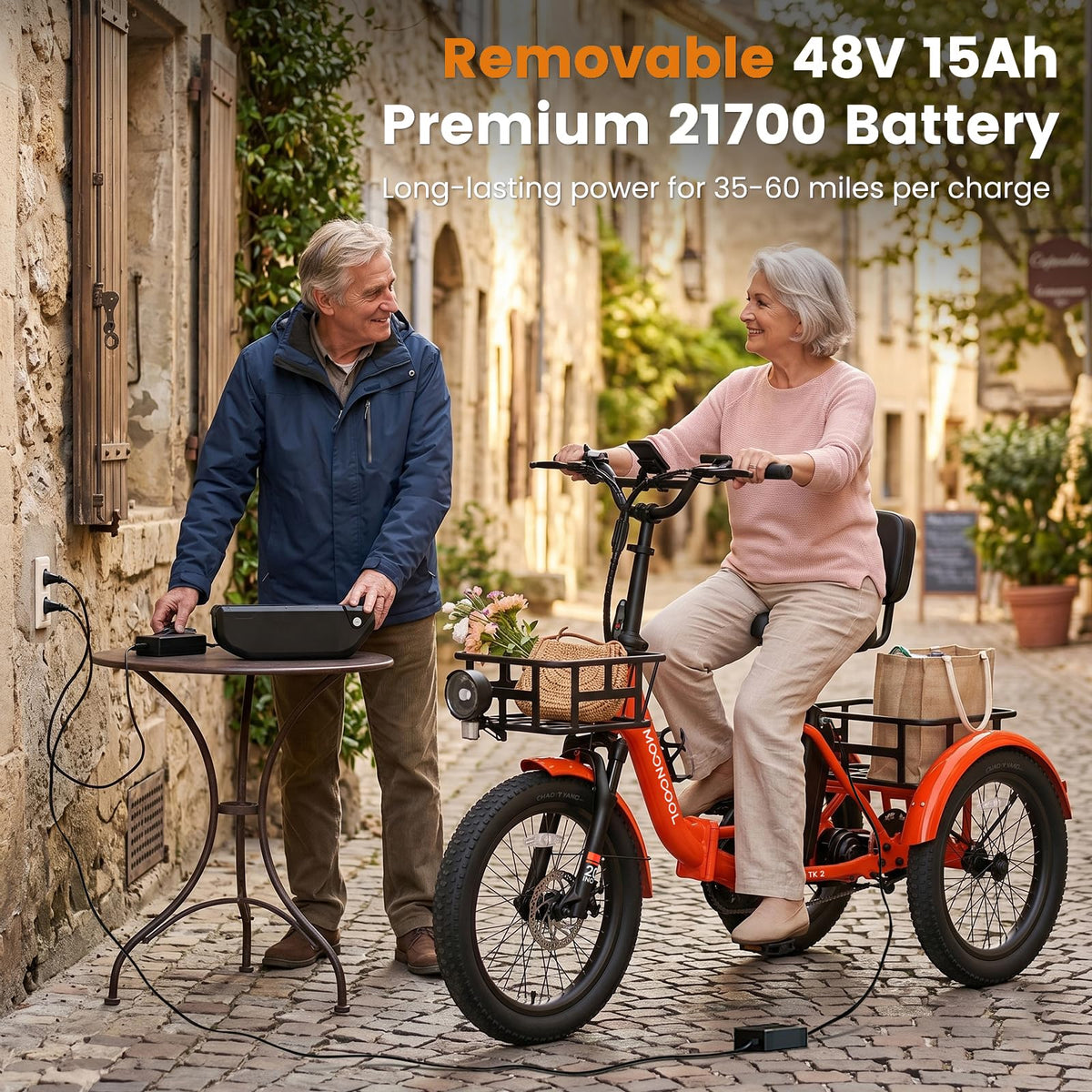 Fat Tire Folding Electric Tricycle I6391