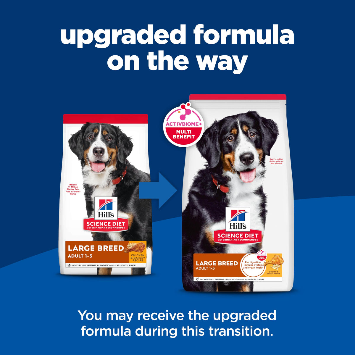 Large Breed Dry Dog Food G4242