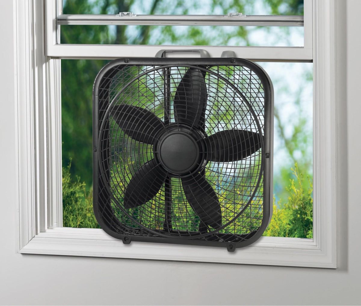 20" Weather Resistant Box Fan, 3-Speeds, Black T36955