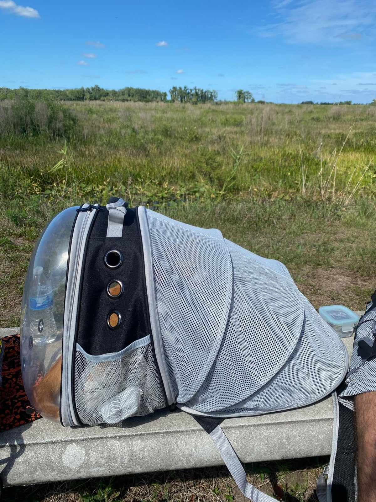 Expandable Cat Backpack Carrier with Bubble Window S5551