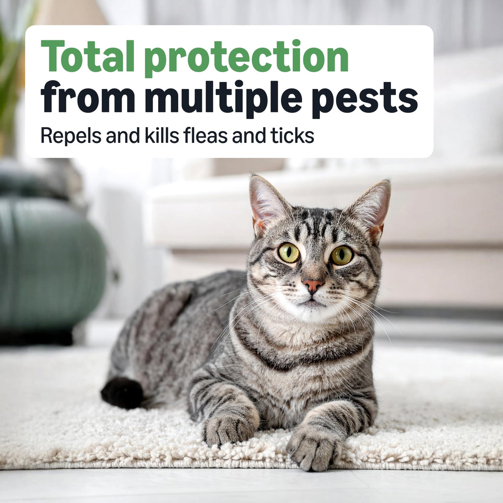Flea and Tick Topical Treatment for Cats 6 Count L65662