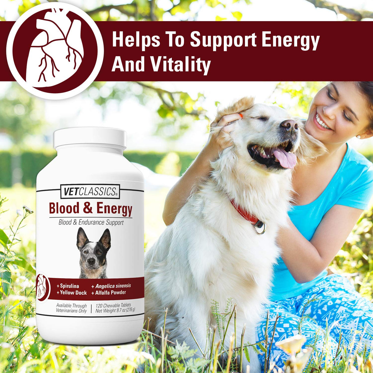 Blood & Energy Support Supplement for Dogs 120 Tablets Q503
