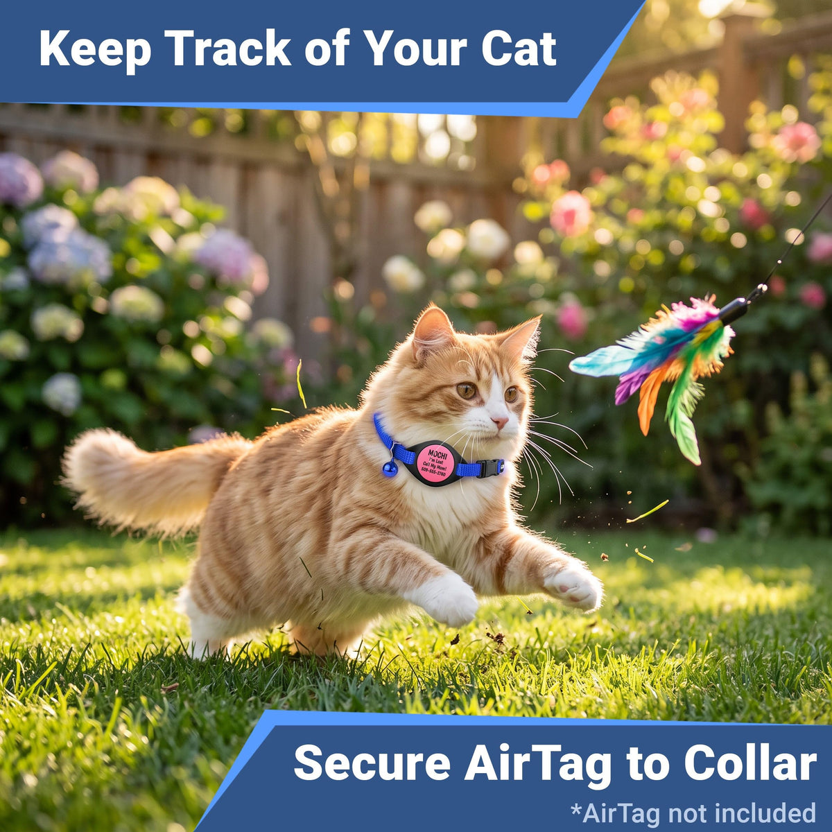Reflective Breakaway Cat Collar R2449