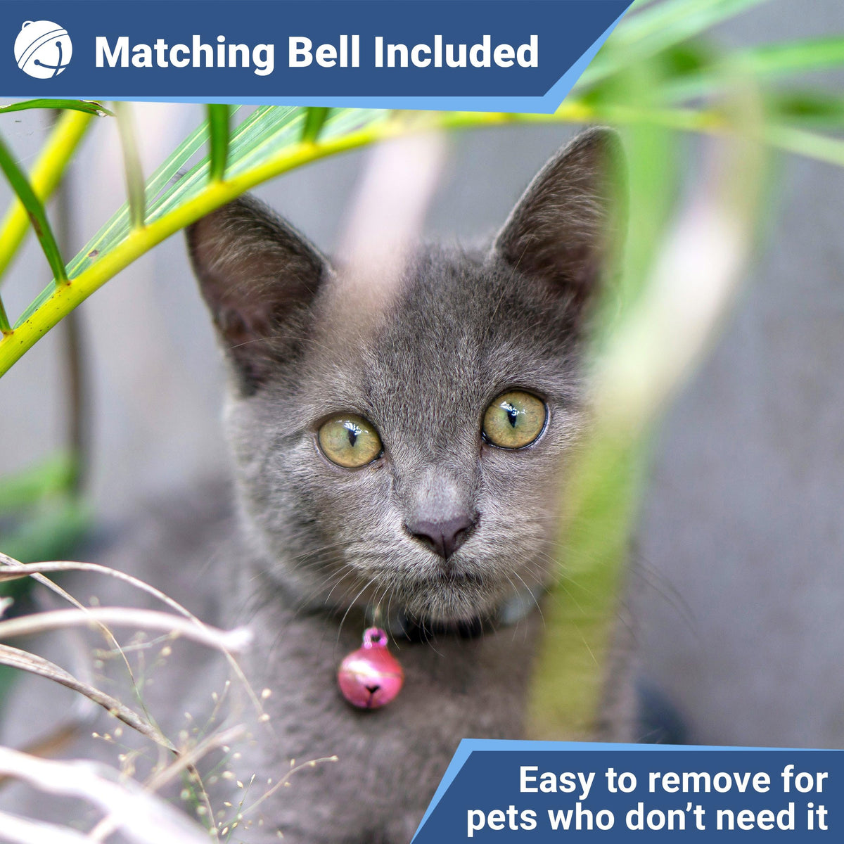 Reflective Breakaway Cat Collar R2449